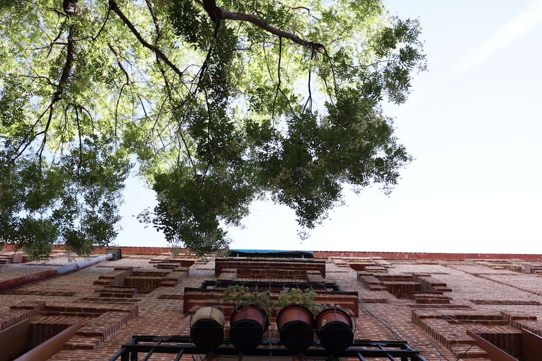 Structured financial planning